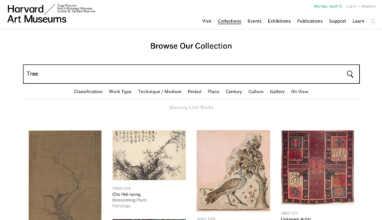 Screenshot of Harvard Art Museums's website, with the search results for "tree"